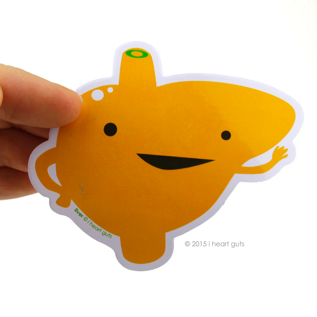 Love Your Liver Sticker