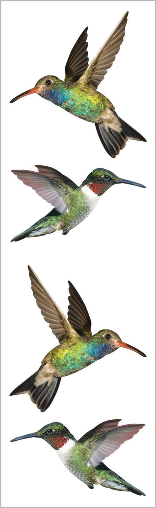 Hummingbirds Stickers