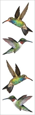 Hummingbirds Stickers