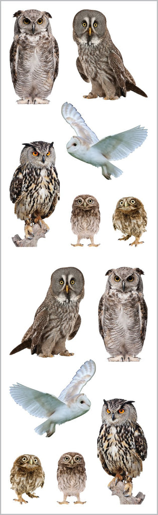 Owls Stickers