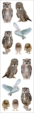 Owls Stickers