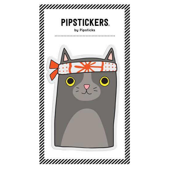 Big Puffy Ninja Cat