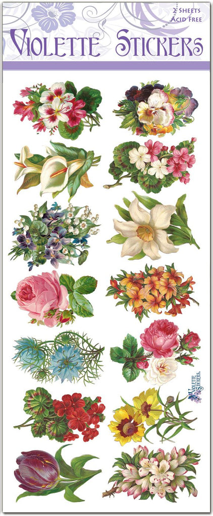 Vignettes