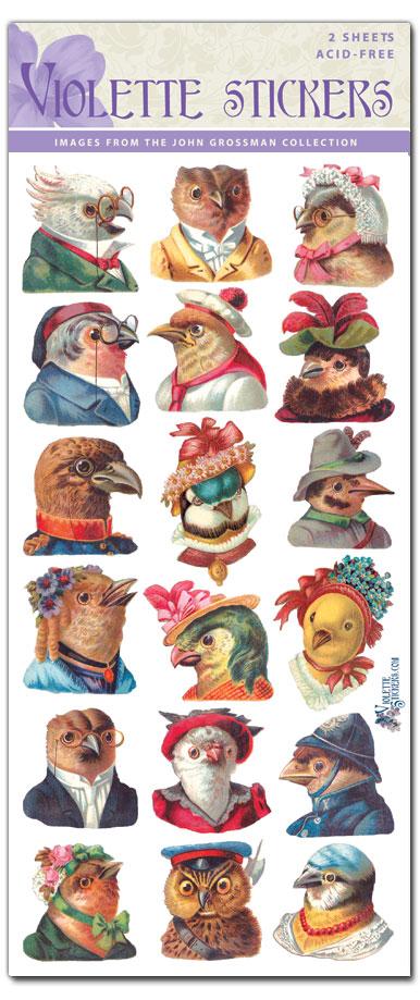 Chatty Birds