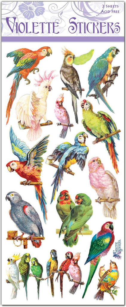 Parrots