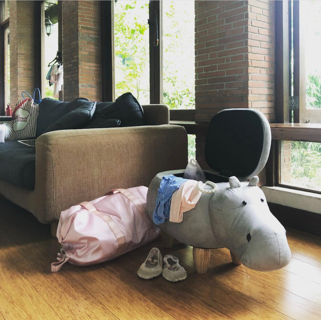 Hippo Ottoman
