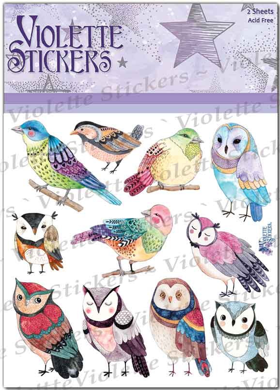 Owls and Birds