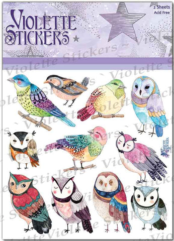 Owls and Birds