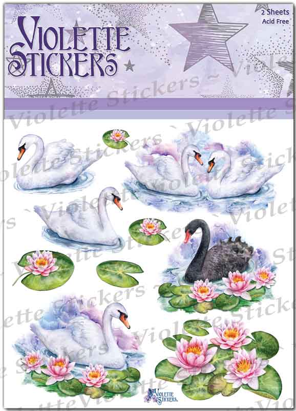 Swans