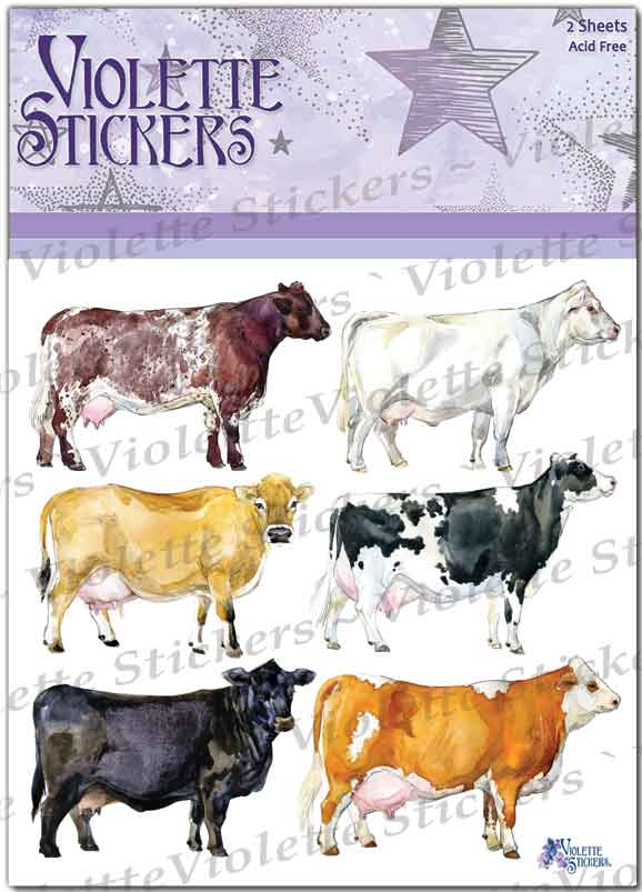 Cows