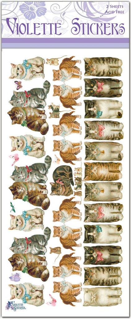 Rows of Cats