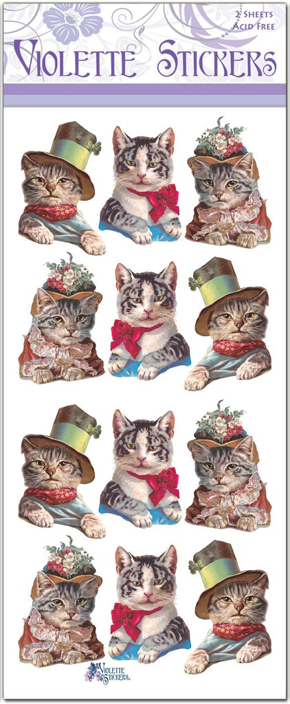 Cats at the Theatre
