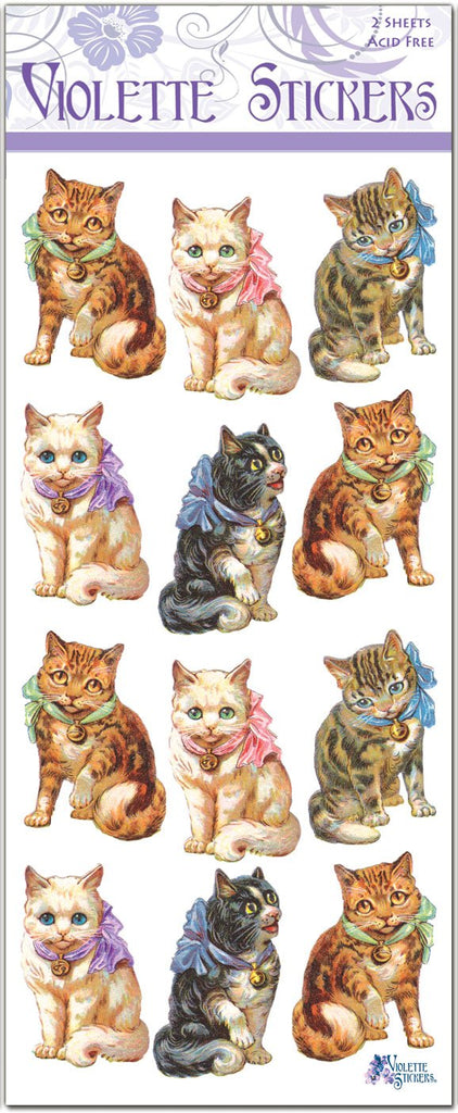 Cranky Cats