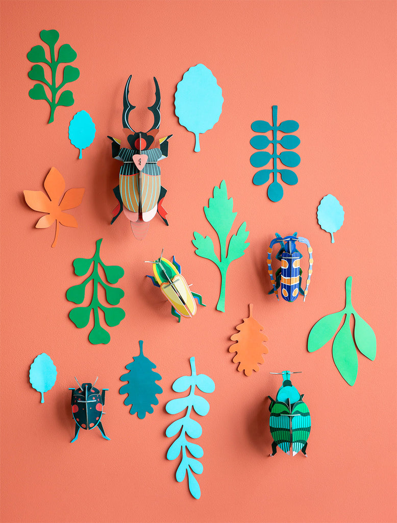 Beetle Antiquary