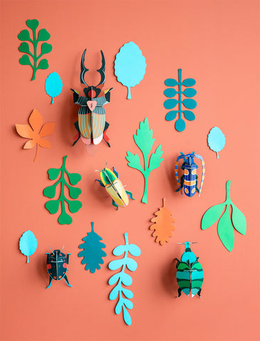 Beetle Antiquary