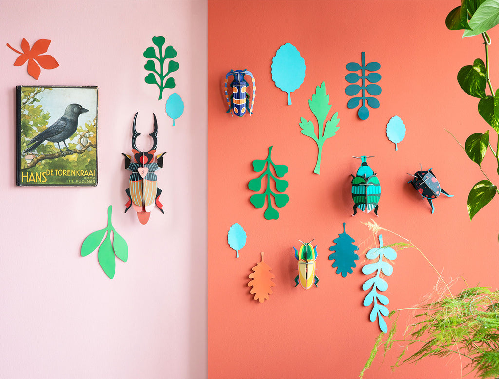 Beetle Antiquary