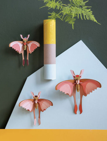 Comet Butterflies Set of 3