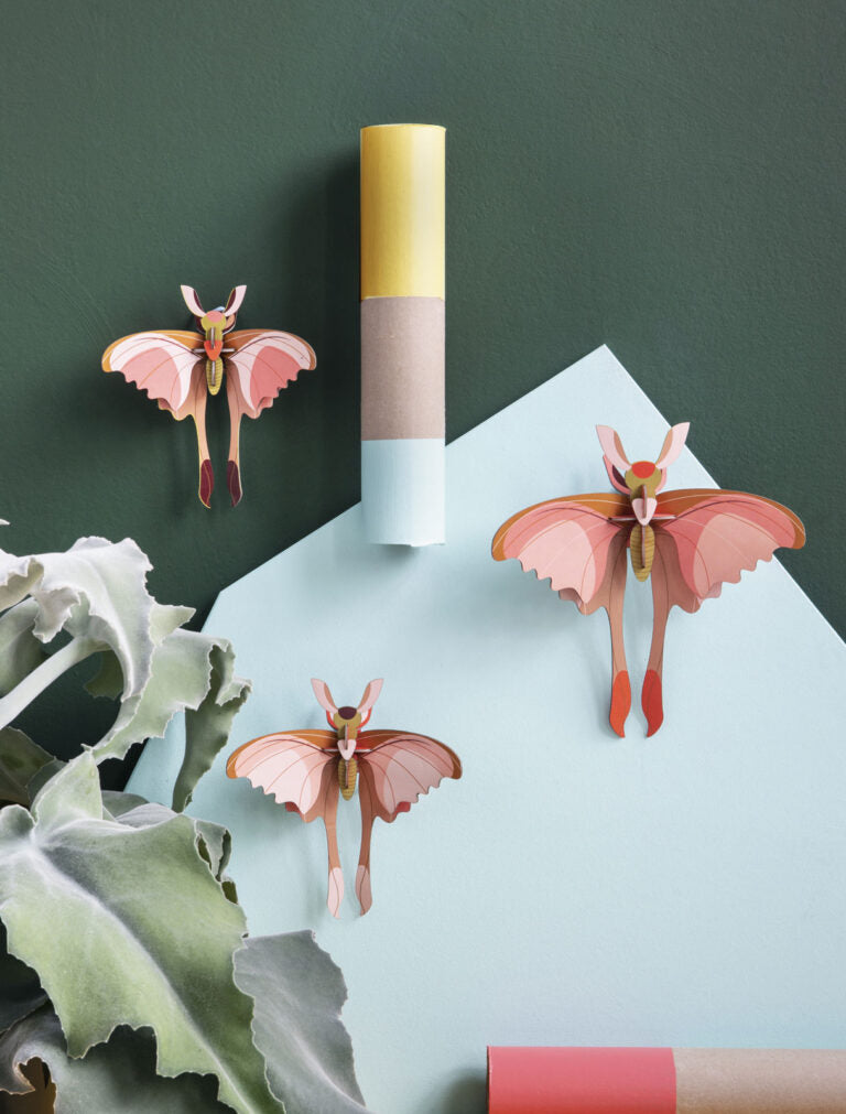 Comet Butterflies Set of 3