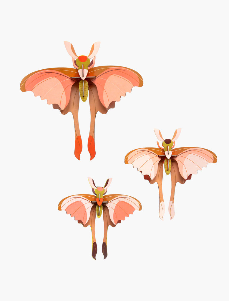 Comet Butterflies Set of 3