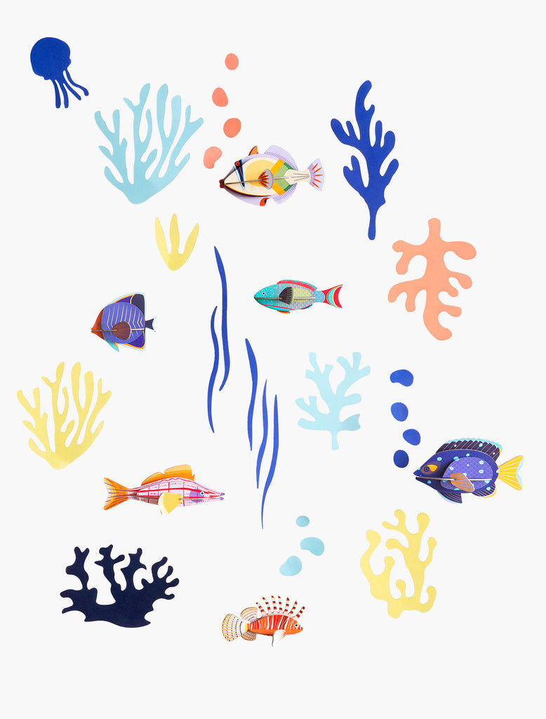 Fish Hobbyist