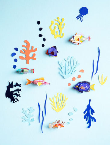 Fish Hobbyist