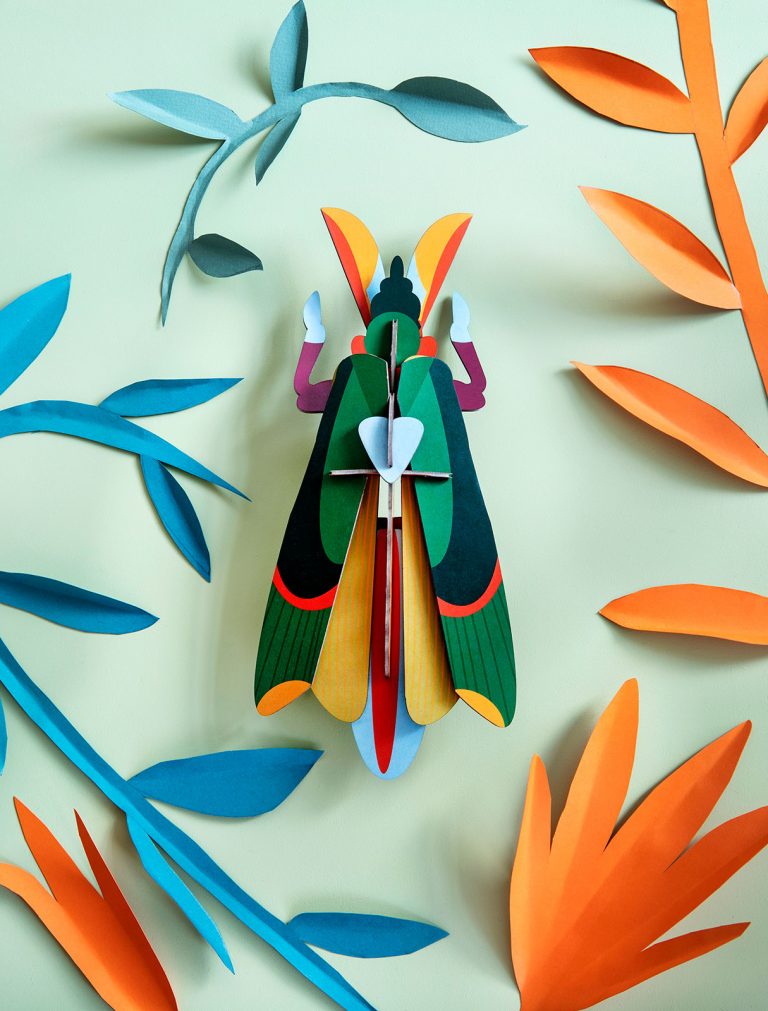 Grasshopper