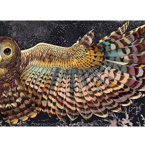 Night Owl Scarf