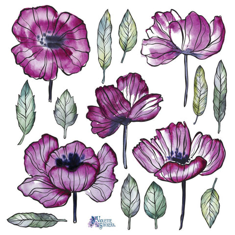 Purple Poppy