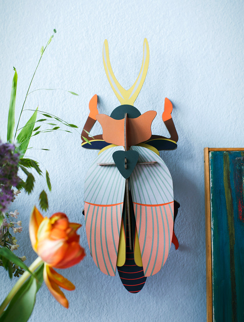 Rhinoceros Beetle