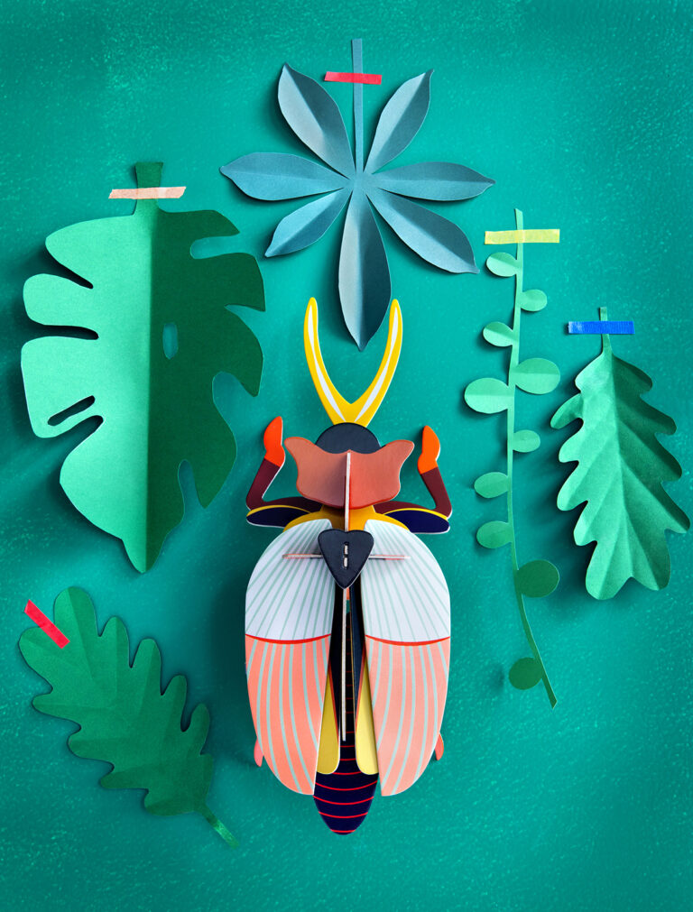 Rhinoceros Beetle
