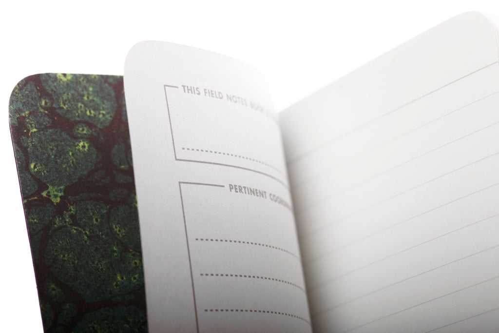 FN40 End Papers