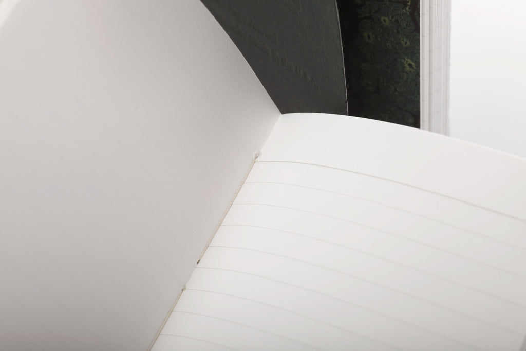 FN40 End Papers