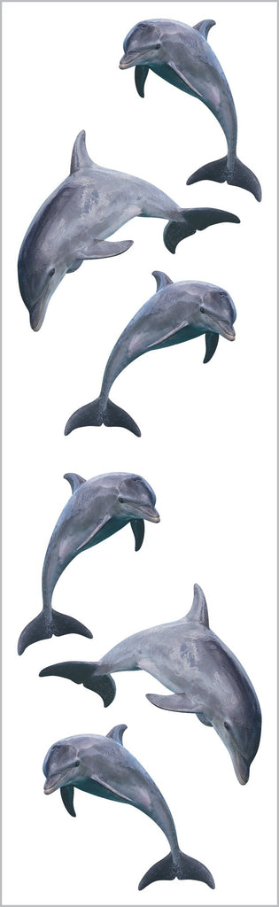 Dolphin Trio Stickers