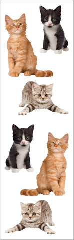 Adorable Kittens Stickers