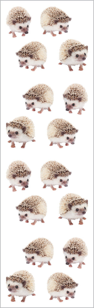 Hedgehogs Stickers