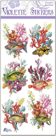 Rainbow Reef Fish