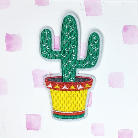 Cactus Patch