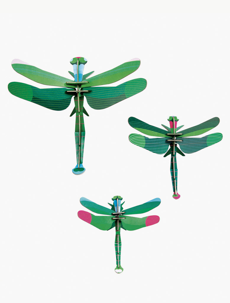 Dragonflies Set of 3