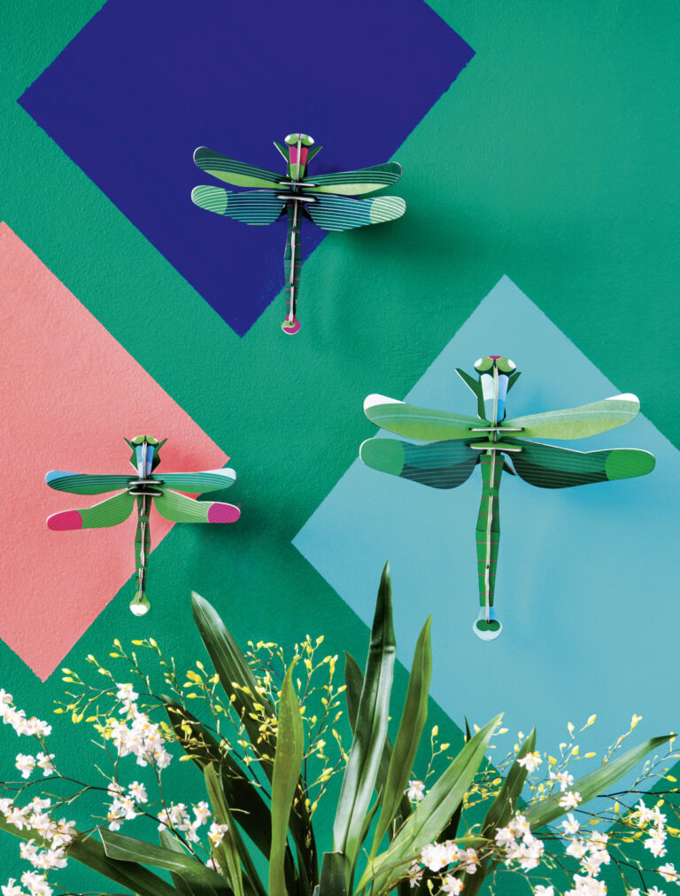 Dragonflies Set of 3